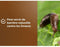 Pozzolana Mulch - BRUIN GOUD - OBRPPOU6U - 6 L - Plantenbescherming