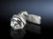 Rittal HD 2304.010 - Knevelsluitingen - Dubbele baard - RVS