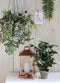 Mica Decorations groene ficus kunstplant - 40 cm - Kunstplanten voor binnen