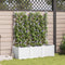 vidaXL - Tuin - Plantcontainer - met - Trellis - 3 - stuks - Wit - 120x40x143 - cm