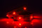 Avento Sportarmband - Reflecterend met LEDs - Waterdicht - Geel