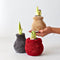 Plant in a Box - Amaryllis - Hippeastrum 'Cozy Teddy Gray' - Bloembol - Rode bloemen