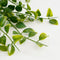 Mica Decorations Ficus - Kunst Hangplant in Pot - H46 x Ø20 cm - Groen
