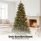 Triumph Tree Sherwood Deluxe - Kunstkerstboom met LED Verlichting - H185 x Ø127 cm - Groen