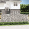 vidaXL - Schanskorven - 5 - st - gewelfd - 400x30x140/160 - cm - ijzer