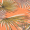 In The Mood Collection Parasol - Stokparasol - UPF 30+ - Oranje - Ø220 cm