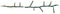 Nampook kerstboomverlichting - 14m - 700led - ww