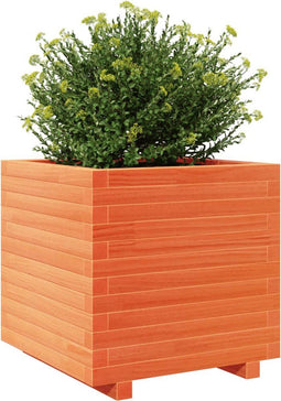 vidaXL - Plantenbak - 50x50x49,5 - cm - massief - grenenhout - wasbruin