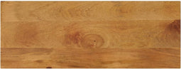 vidaXL - Tafelblad - rechthoekig - 80x40x3,8 - cm - massief - mangohout