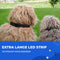Dutchwide - Lichtgevende Halsband Hond - Verstelbaar - Reflecterend - Zwart