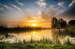 Customize it - Tuinschilderij zonsopkomst 130x70cm