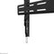 Neomounts WL30S-850BL16 - Wandsteun voor TV tot 82