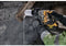 DeWalt DCH172P2-QW - Klopboor - 18V borstelloze motor - 1,4 J slagenergie - 0-4980 bpm - 5,0 Ah