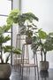 Mica Decorations Lester Bloempot - H31 x Ø33 cm - Terracotta - Donkergrijs