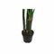 Decoratieve plant DKD Home Decor Polypropeen (PP) EVA (90 x 90 x 200 cm)
