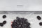 CASO GourmetVAC480 - Vacumeermachine - tot 30 cm