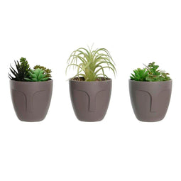 Decoratieve plant DKD Home Decor Grijs Beige Polyethyleen Groen Polypropyleen (11 x 11 x 15 cm) (...