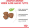Royal Canin Puppy - Mini - Hondenbrokken - 4 KG