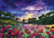 Heye - Puzz.Sundown Poppies - Legpuzzel 1000 stuk(s)