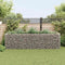 vidaXL - Gabion - plantenbak - verhoogd - 360x90x100 - cm - staal