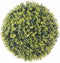 Decoratieve plant Klot Lente 40 x 40 x 40 cm