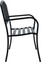 vidaXL - Tuinbank - 120 - cm - staal - zwart