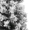 vidaXL - Kunstkerstboom - met - sneeuw - smal - 240 - cm - PVC - groen