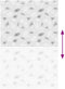 vidaXL - Doucherolgordijn - 150x240 - cm - stofbreedte - 146 - cm