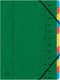 Exacompta Sorteermap 12-delig, groen
