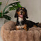 Scruffs Alpine Box Bed - Hondenmand - Luxe imitatiekonijnenbont - Taupe - Large 75 x 60 cm