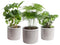 Trio 'Urban Jungle' in Laos keramiek (grijs) ↨ 25cm - 3 stuks - hoge kwaliteit planten