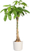 Elho B.for Soft Rond 25 - Bloempot voor Binnen - 100% Gerecycled Plastic Ø 24.7 x H 23.3 cm - Wit