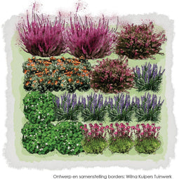 1m2 Groenblijvend en bloeiend 5b