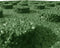 vidaXL - Valtegels - 12 - st - 50x50x3 - cm - rubber - groen