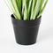 Mica Decorations Dogtail Gras - Kunstplant - Hoogwaardige afwerking - Groen