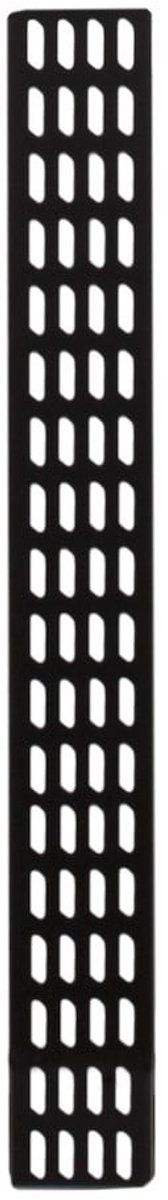 DSIT 18U verticale kabelgoot - 10 cm breed