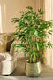 Mica Decorations Bamboe Kunstplant in Pot - H150 x Ø60 cm - Groen