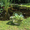 Weltevree | Local Habitat Terrarium | Terrarium Planten en Insecten | Ecosysteem Glazen Kom | Vaas