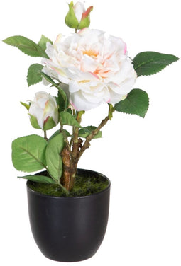 Decoratieve plant Polyester Polyethyleen Ijzer Roze 16 x 16 x 31 cm