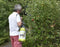 Hozelock PURE - Drukspuit 7 liter - Geschikt voor natuurlijke gewasbescherming - 3 in 1 spuitkop