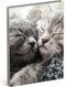 Lannoo Graphics - Diary 2024 - Agenda 2024 - MY FAVOURITE FRIENDS - Kitten - 7d/2p - 4Talig - 110 x 150 mm