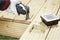 Bosch AIZ 32 EPC - Zaagbladen voor multitools - HCS - (10 stuks)