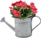 Decoratieve plant Versa Staal Plastic 15,24 x 13,97 x 15,24 cm