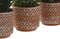 Decoratieve plant Home ESPRIT Polyethyleen Cement 12 x 12 x 17 cm (3 Stuks)