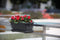 Bloempot Artevasi Venezia 50 x 19,5 x 16,3 cm Antraciet Polypropyleen