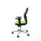 Piqueras y Crespo 2D086G0 - Gaming stoel - Hoogteverstelbaar - Pistache
