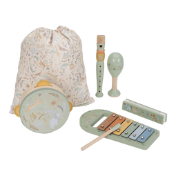 Little Dutch LD7473 - Muziekset - 5 instrumenten - Groen