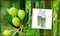 Collonil Protect & Care spray - 200 ml