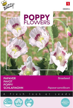 3 stuks - Buzzy - Poppies of the world papaver blauwmaanzaad