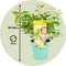 Plant in a Box - Eucalyptus 'Citriodora' - Set van 2 - Eucalyptusstruiken - ⌀19cm - Hoogte 35 cm - Citroengeur - Tegen muggen